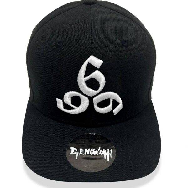 666 3D Embroidered Snapback Cap